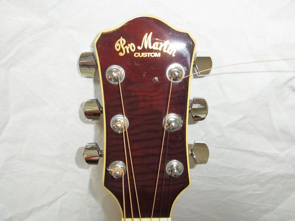 Pro Martin Acoustic-Electric Guitar Ea500W Vs Used From